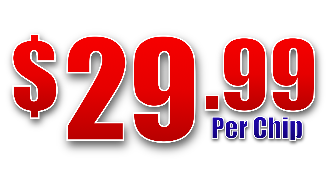 rock chip repair only $29.99 per chip
